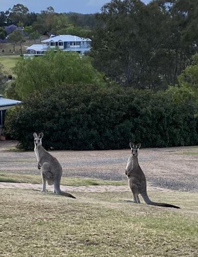 Photo 4-11-2023, 5 51 46 pm